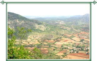 Nandi Hills Bangalore